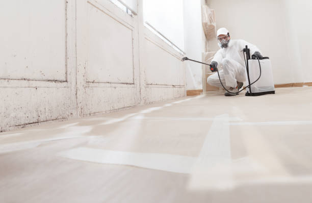 24/7 Emergency Commercial Mold Remediation experts in Springfield, IL